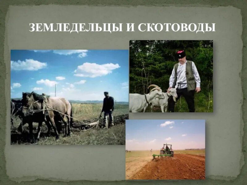 Николай гаврилович хлудов картины. Шотландский пастух. Пастух с овцами. Царь давид пасет овец. Пастух в поле.