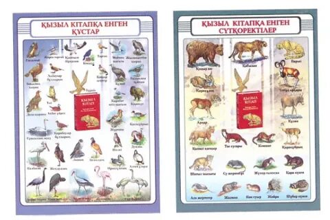 Көп сперматозоидтар кискаға құйылды