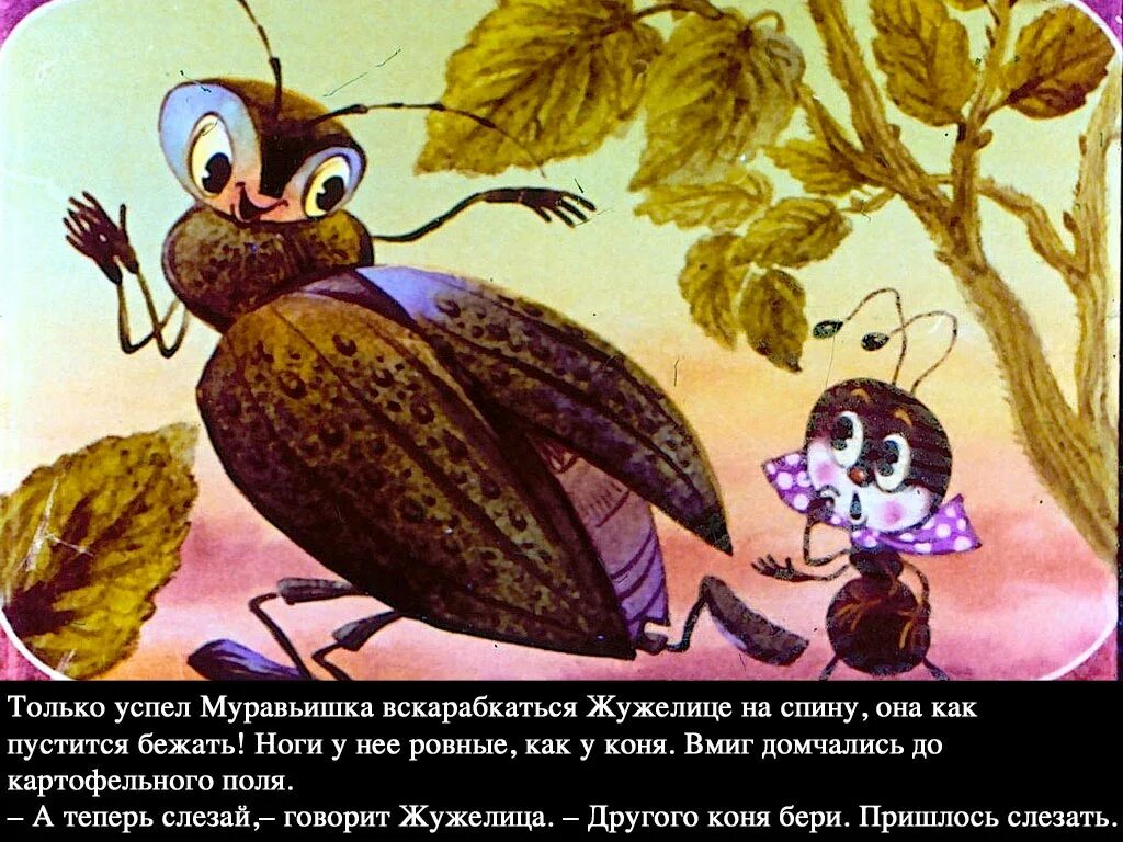 Как муравьишка домой собирался краткое содержание. Жужелица из сказки приключения муравьишки. приключения муравьишки бианки жужелица. бианки в. в. &quot;приключения муравьишки&quot;. бианки в.в. &quot;как муравьишка домой спешил&quot;.