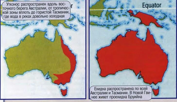 Языковая карта австралии. Ареалы распространения основных групп населения австралии. Карта распространения сумчатых. Европеоидная раса распространение. Места расселения монголоидной расы.