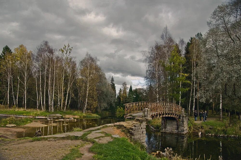 Погода гатчинского. В старинном парке. Национальный парк Гатчины фотообои.