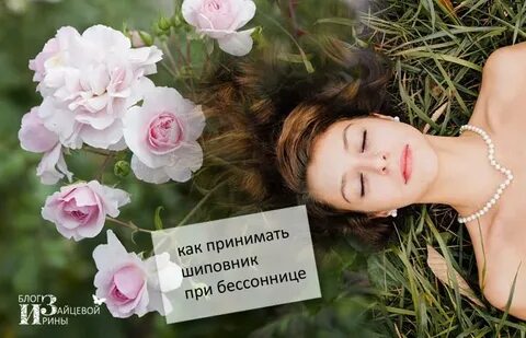 Женщина шиповник