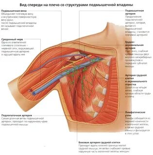 Что может болеть подмышкой у женщин