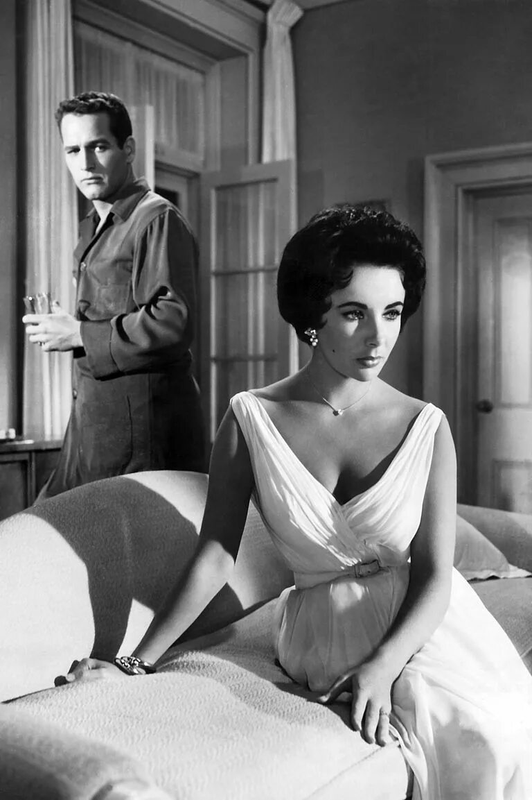 Элизабет тейлор кошка на раскаленной крыше. Элизабет тейлор кошка на раскаленной крыше. 1958 элизабет тейлор. Кошка на раскаленной крыше краткое содержание. Актеры фильма кошка на раскаленной крыше.