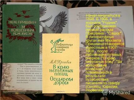 Рассказ сашок