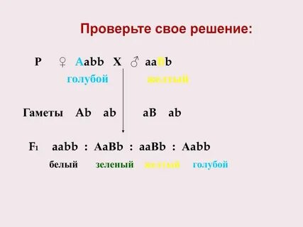 У особи с генотипом aabb образуются гаметы