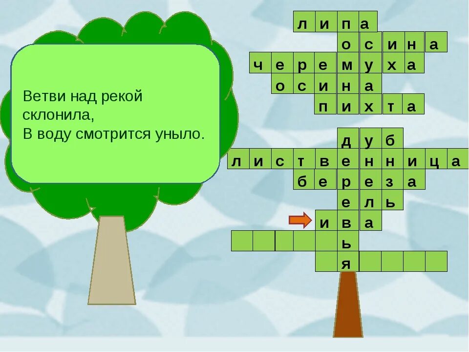 Кроссворд. Кроссворд на тему деревья. Кроссворд про деревья для детей. Кроссворд на тему деревья и кустарники. Плоды чудо дерево сканворд 5