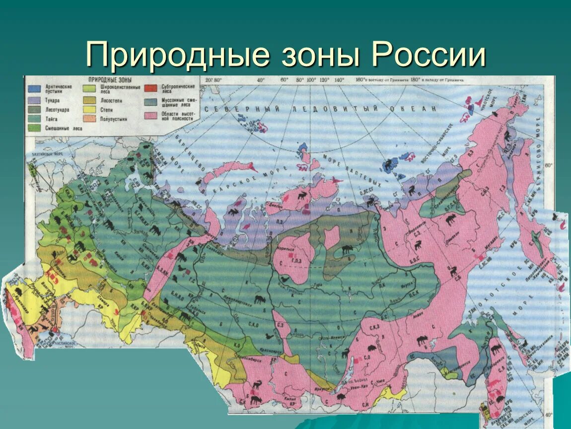 Природные зоны расположенные в умеренном поясе. Природные зоны России. Карта природныъх зон Росси. Зоны России природные зоны России. Природные зоны России 4 класс.