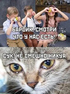Мемы картинки с надписями смешные до слез