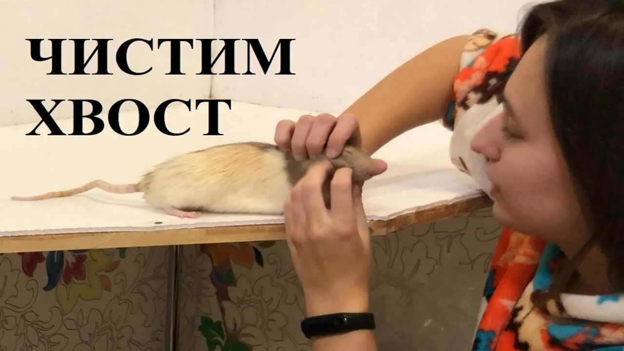 Подчистить хвосты