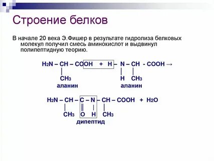 Белок в химии