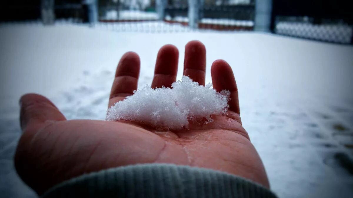 Растаяв в руках. Снег в ладошках. Снег на ладони. Снежинка на руке. Тающая Снежинка на руке.