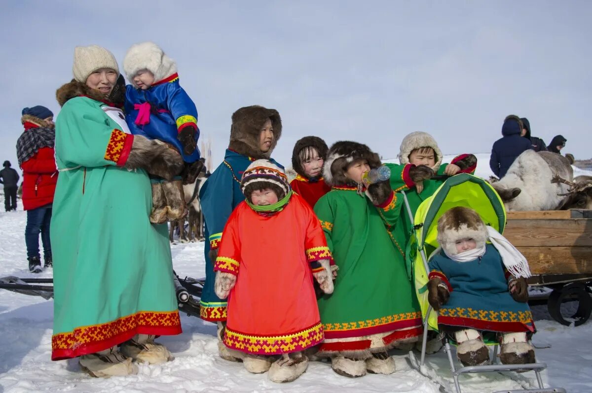 Дом коренных народов. Ненцы Таймыр. Народы Таймыра ненцы. Ненцы Дудинка. Малочисленные народы Таймыра.