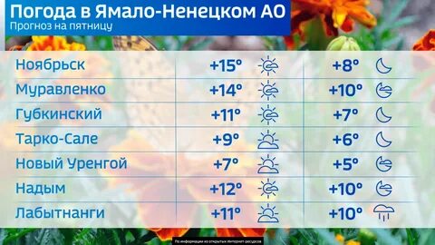 Салехард погода в ноябре