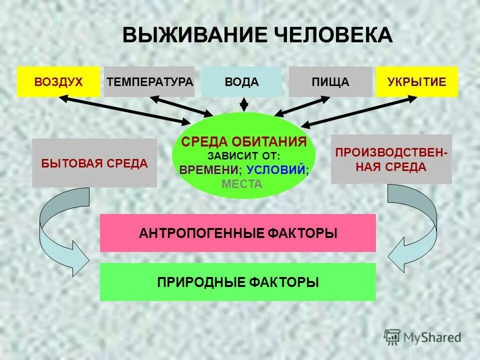 производственная среда. среда обитания современного человека. человек бытовая среда. социально бытовая среда. бытовая среда.