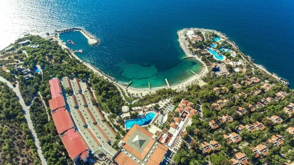 Pine bay holiday resort 5. Pine beach кушадасы. Pine bay holiday resort отзывы. Pine bay турция кушадасы. Пайн бэй холидей резорт кушадасы.