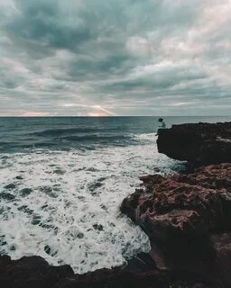 Запах моря