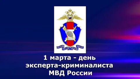 Эксперт праздник