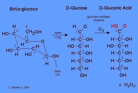 Oxidation of glucose. Glucose oxidase. Glucose oxidation Reactions. Окисление Глюкозы кислородом воздуха. Глюкоза и кислород реакция