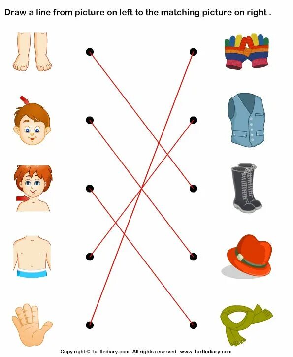 Тело человека задания для дошкольников распечатать Pin on fise copii corpul uman Body parts preschool, Body preschool, Human body a