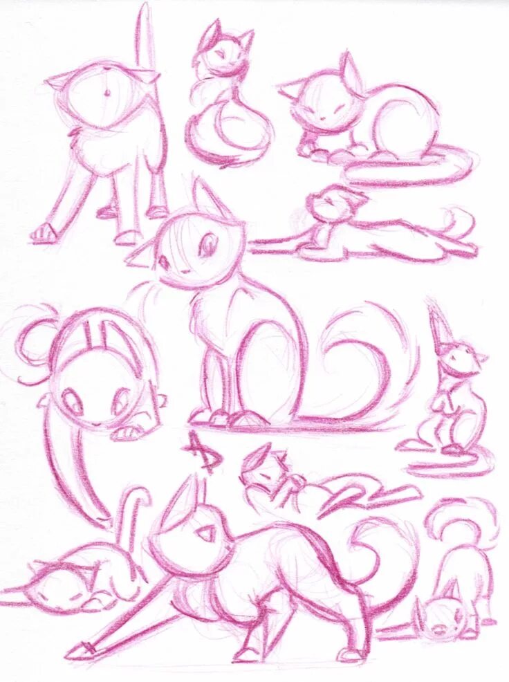 Cats tutorials