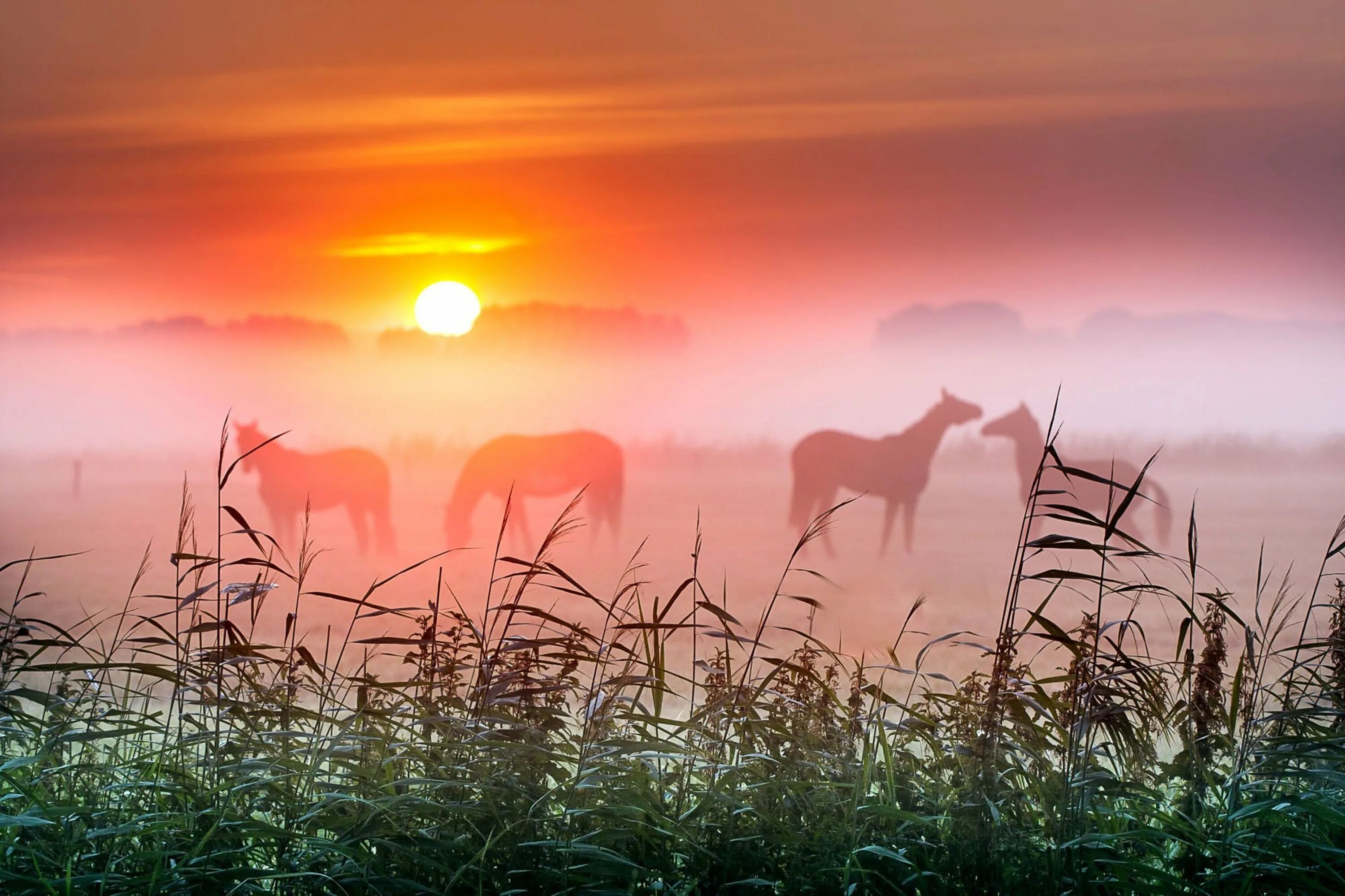 Доброе утро восход солнца картинки. Горы солнце. Красивый восход. Рассвет солнца. Природа солнце.