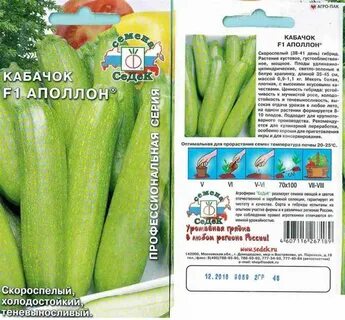 Кабачок партенокарпический сорта