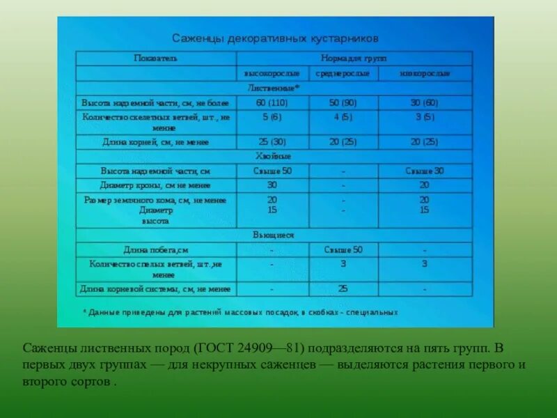 Требования к 5 группе. Саженцы лиственных кустарников ГОСТ. ГОСТ 24909-81. Саженец 5 группы. Размеры саженцев лиственных декоративных древесных пород ГОСТ 24909 81.