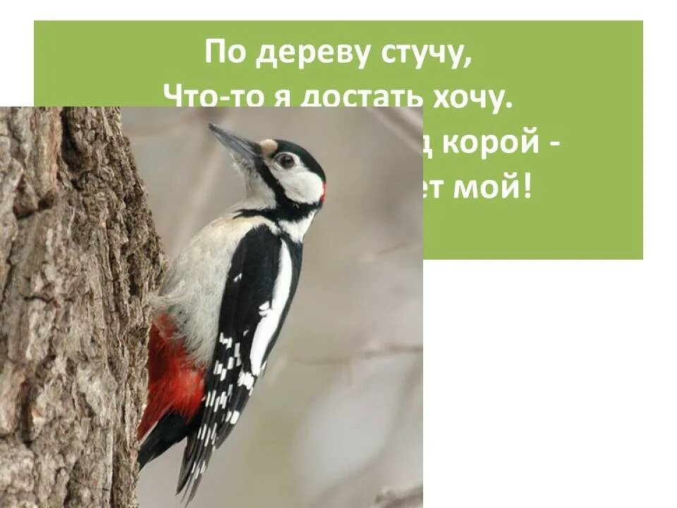 Сделать голос птиц