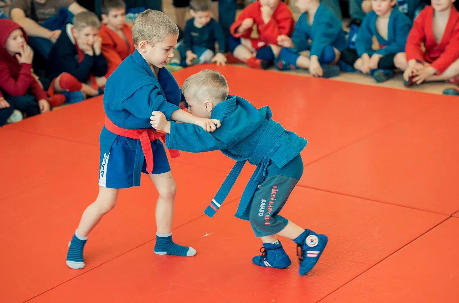 Занятия самбо в школе. Секция самбо для детей. Спортивные секции самбо. Самбо. Самбо дети.