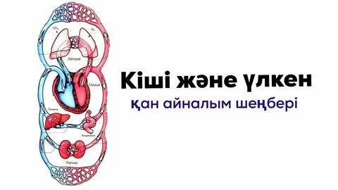 Янаның үлкен фотосы