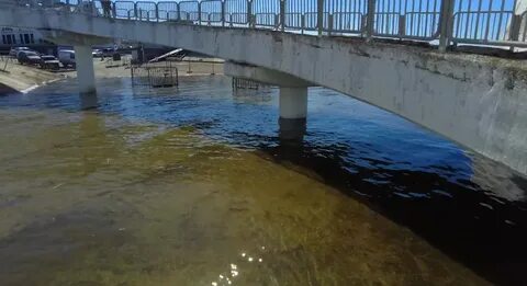 На сколько поднялась волга в самаре