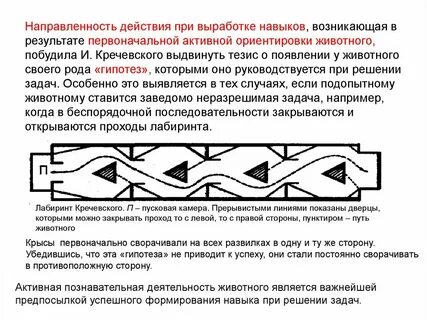 Направленность действия