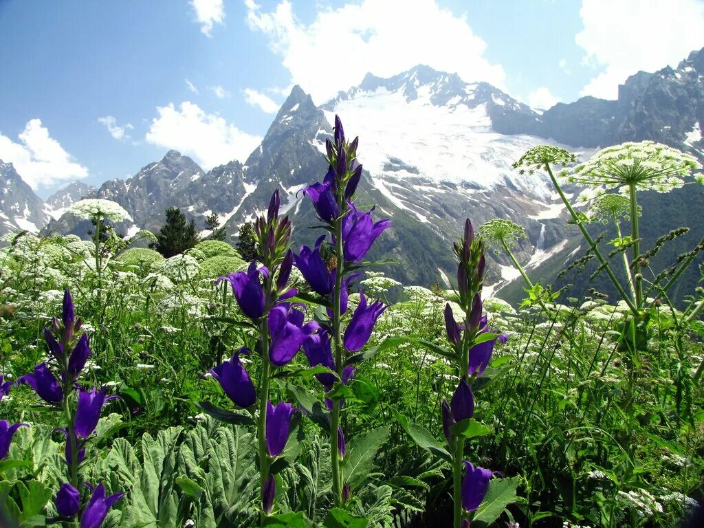 Экскурсионное бюро пятигорск официальный сайт. Пятигорское бюро путешествий и экскурсий. Экскурсия на эльбрус из пятигорска. Второафонский мужской монастырь пятигорск. Пятигорск курортное бюро путешествий.