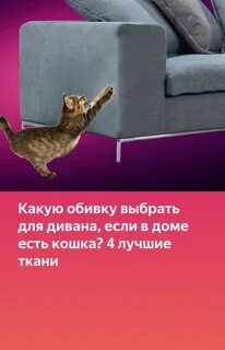 Антивандальная ткань от кошек