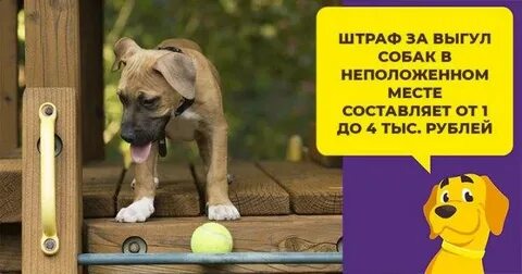 Работа гулял