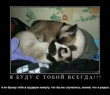 Любимый мой я всегда тебя поддерживаю