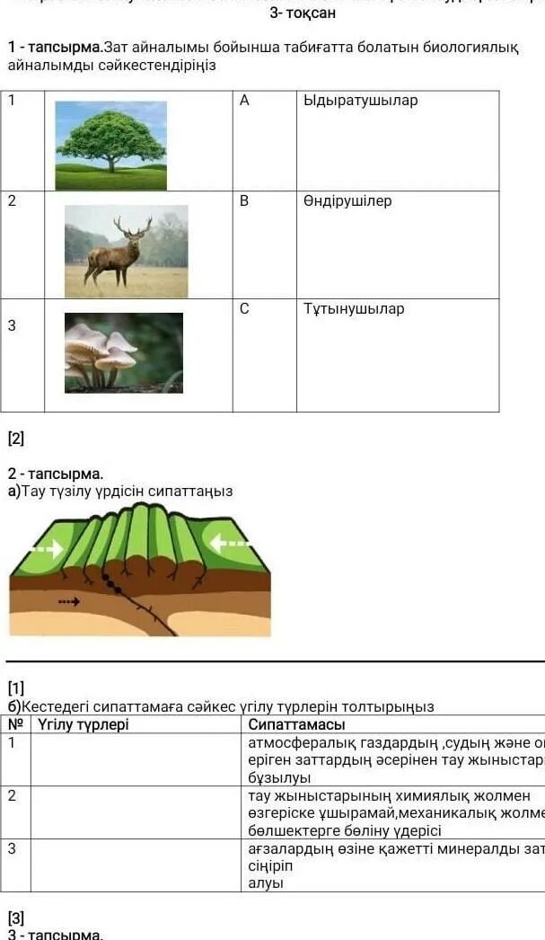 4 сынып модо тест тапсырмалары. Реферат жаратылыстану парагрыф 52.