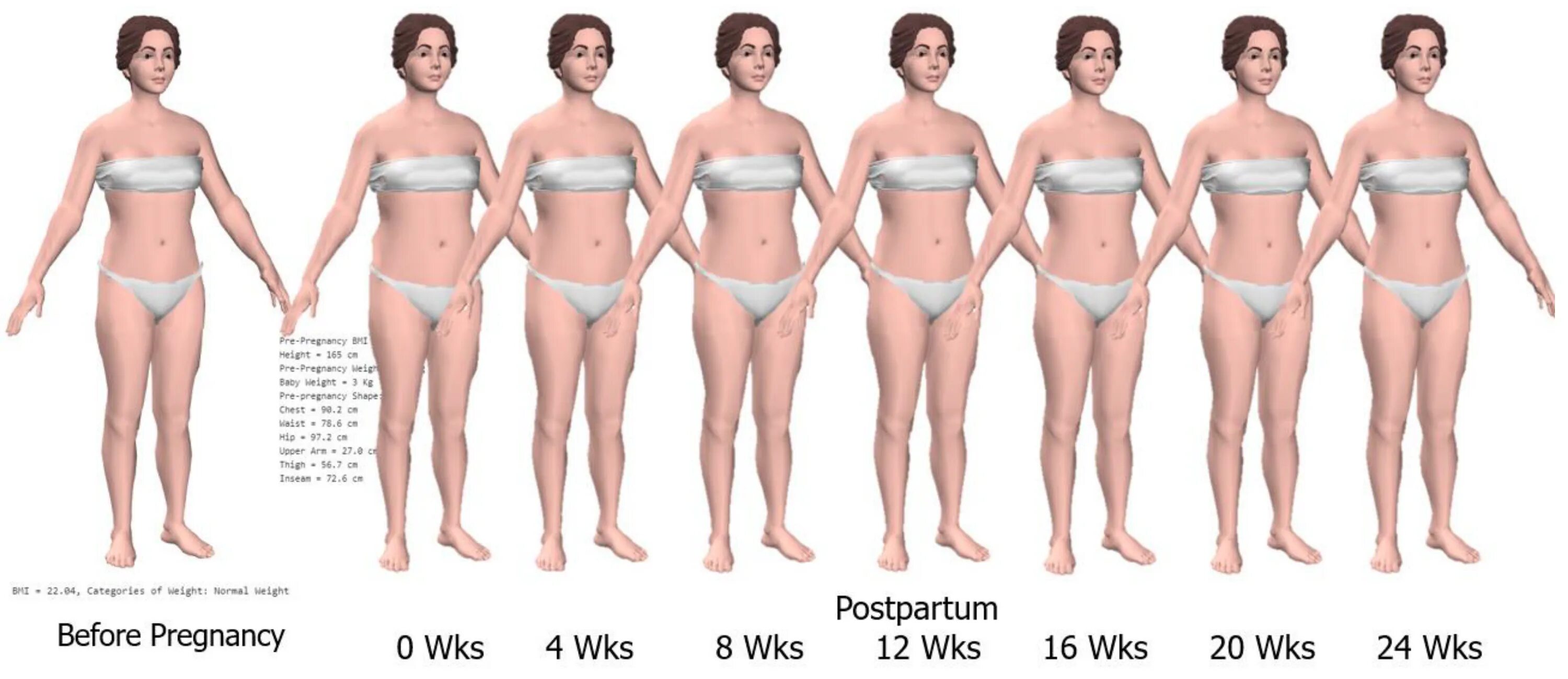 Body visualizer на русском. Body visualizer на русском