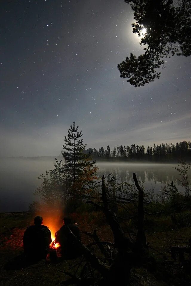 Первая ночь у берега. Костер в лесу. Ночной костер. Летняя ночь. Лес вечером.