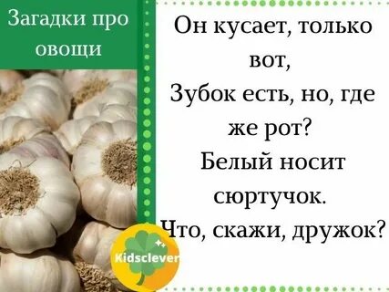 Загадка овощи одним словом