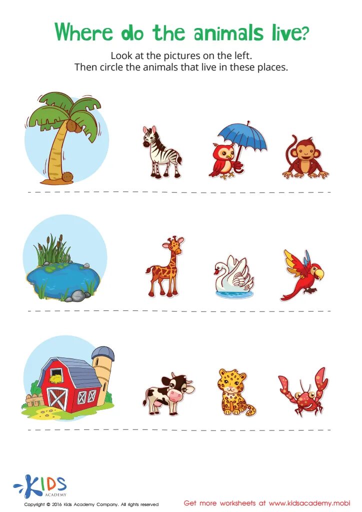Where does that leave me. Where do animals live. where animals live for kids. where do animals live worksheets. where animals live worksheets for kids.