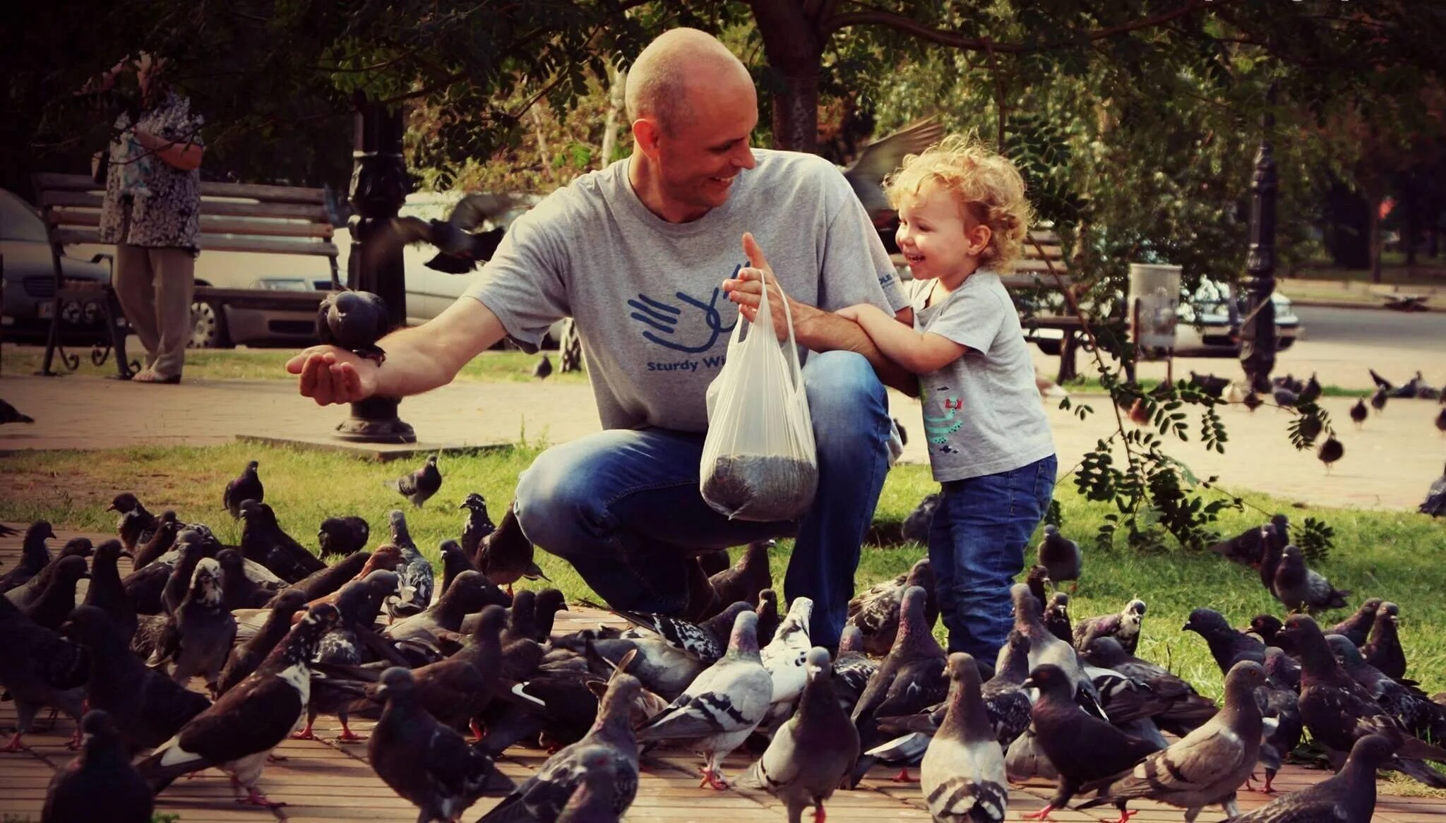 Люди не птицы 1 час. Человек голубь. Бабушка кормит птиц. Человек кормит птиц. Семья голубей.