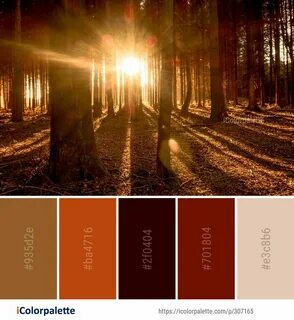 Color les