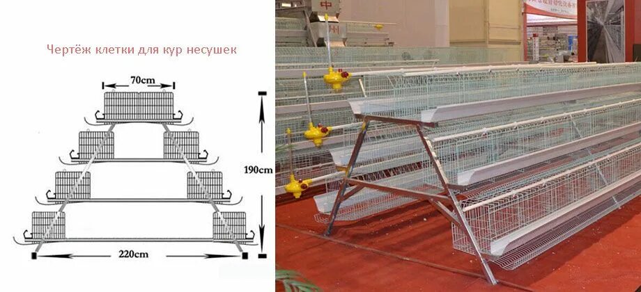 Клетки для кур несушек Кинпласт. Размер клетки на 10 кур несушек. Клеточная батарея КБН-1 для кур-несушек. Клеточное оборудование для кур несушек.