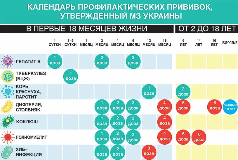 Прививки какие делают график. Национальный календарь прививок украина. календарь прививок для детей 2019. график прививок рф. национальный график прививок для детей.