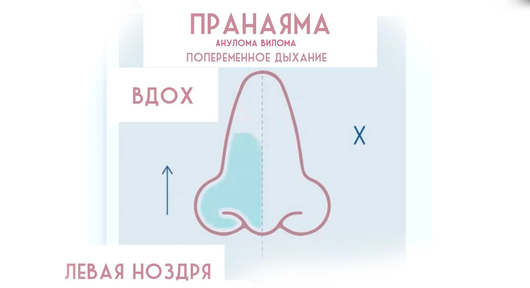 Дыхание 1 уровень. Анулома Вилома. Анулома Вилома пранаяма. Анулома-Вилома дыхательная практика. Дыхательная гимнастика Анулома Вилома.