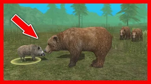 Где найти медведя в супер медведь