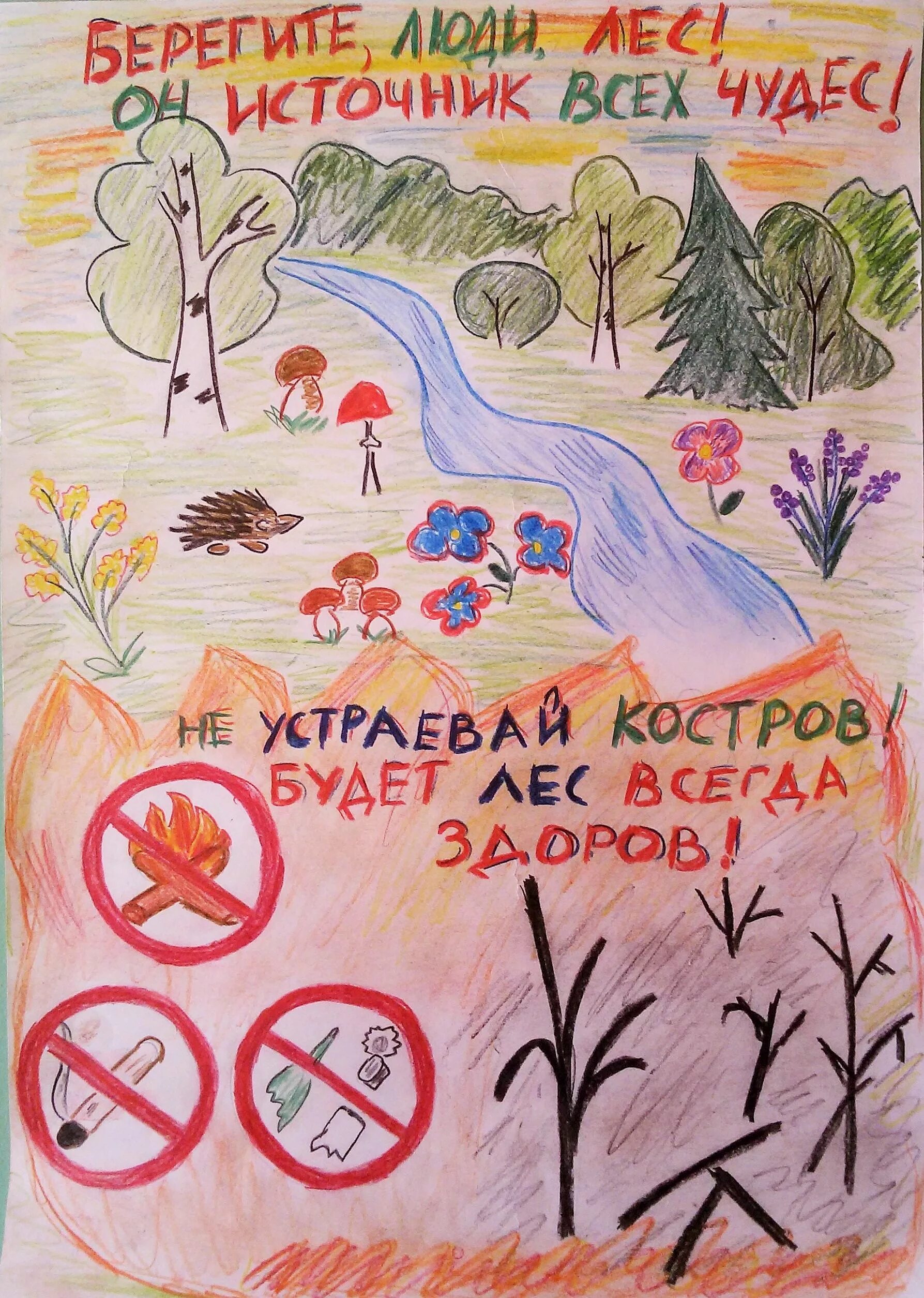 Сохраним природу леса. Плакат &quot;берегите лес!&quot;. плакат о сохранении природы. плакат защитим лес. рисунок на тему сохраним природу.