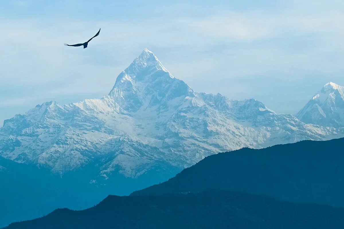 Смеющийся над горами. Плате пейзажи. Вершина горы в облаках. Гималаи пейзажи. Крик над горами.